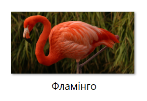 Screenshot_5 (2).png