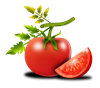 tomato-1987357_1920.png