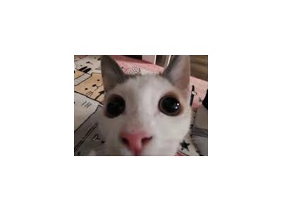 ім'я Прізвище