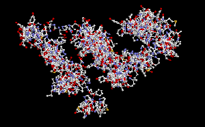 белок у русі.gif
