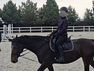 Анна 97101 Орап