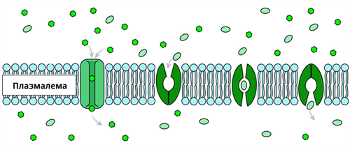 полегшена дифузія3.png