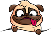 pug-4862083_1280.png