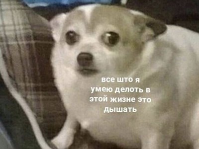 Ганна Кулинич