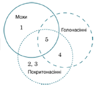 Знімок екрана 2026-04-01 200003.png