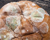 канва платне.jpg