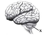 додтакова - 48.JPG