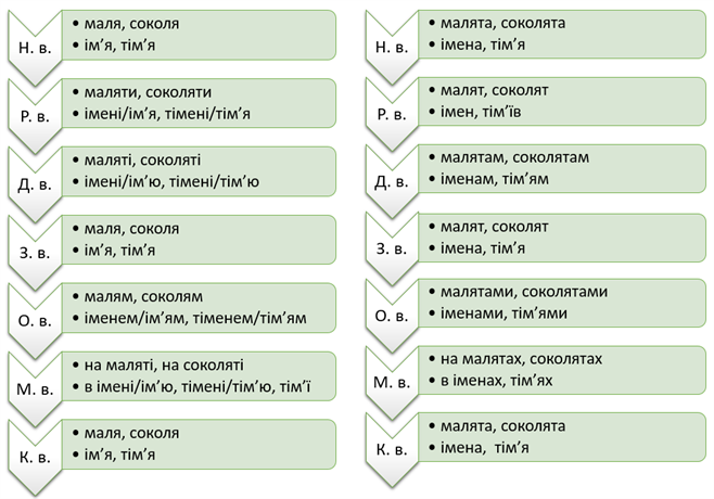 Знімок екрана 2021-04-29 150111.png