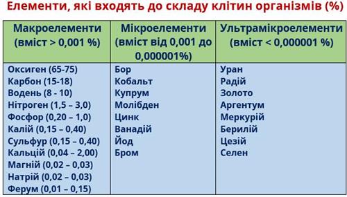 вміст елементів рисунок.jpg