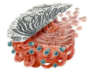 Знімок екрана 2026-04-02 133619.png