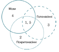 Знімок екрана 2026-04-01 200034.png