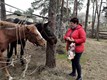 Віра Олександрівна Янько