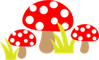 fungus-1297277_1280.png