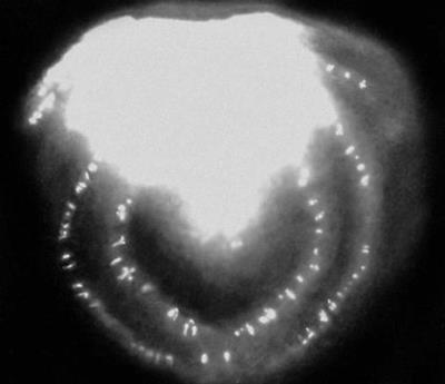 радіоактивні частинки.jpg