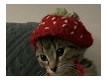 солод саша