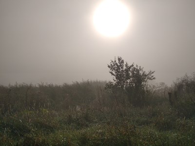 Лідія Михайлівна Корчова