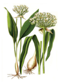 Знімок екрана 2026-04-01 215929.png