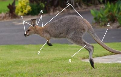 тіло цифри6.jpg