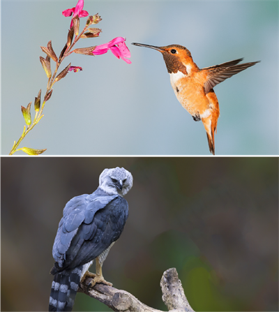 Ресурс 12213.png