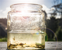 банка з водою.png