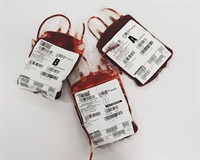 групи крові.jpg