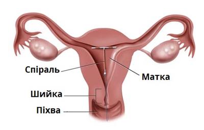 спіраль.jpg