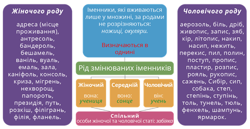 Рід змінюваних іменників.png