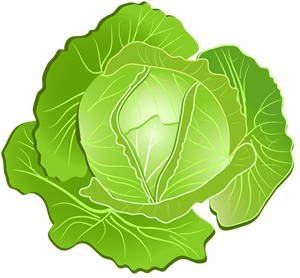 капуста.png