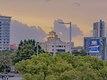 Олександра Янкович