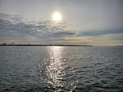 Галина Василівна Фодчук