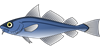 fish-30828_960_720.png
