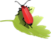 beetle-155017_1280.png