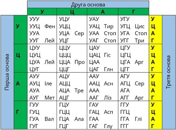 генетичний код таблиця.jpg