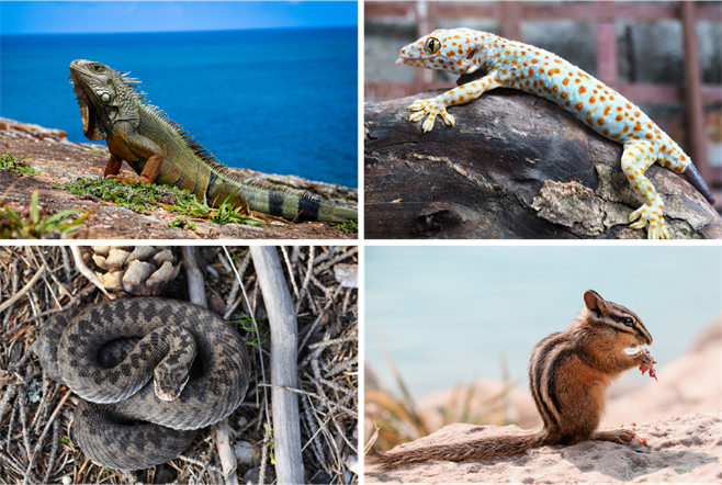 Ресурс 522.png