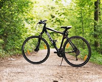 велосипед ліс.jpg