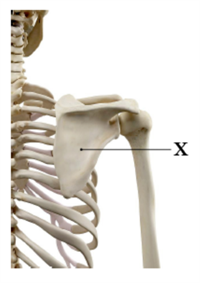 Знімок екрана 2026-04-02 141648.png