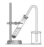 05-06-2017 11-40-28.jpg