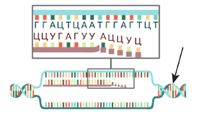 Знімок екрана 2026-04-02 134406.png
