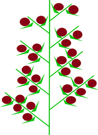 складний колос схема6.png