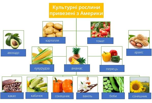 Рослини з Америки.jpg