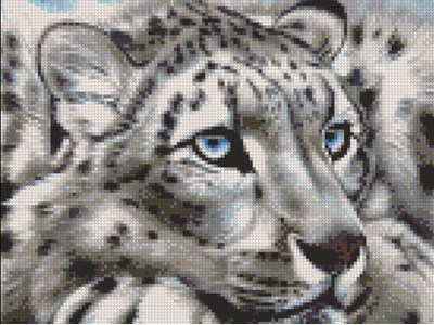 Максим Бугаєнко