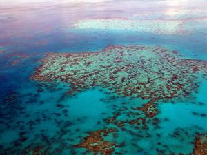 great-barrier-reef-261720_1920.jpg