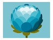Наталія Олександрівна Шкурко