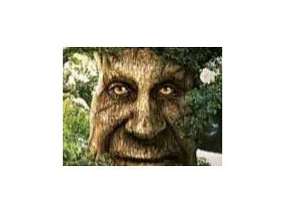 Ярослав Мудранинець