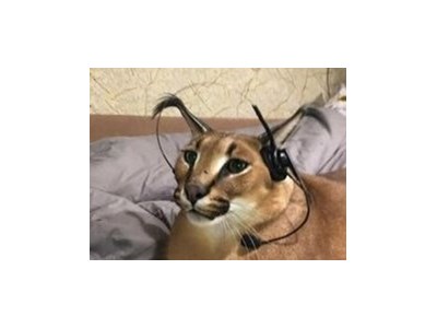 Іван Горщенко