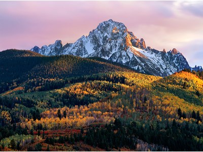 Аліна Ліпінська