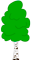 береза.png