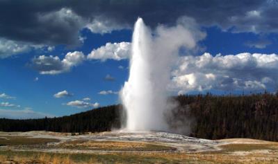 Старый служака.jpg