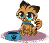 kitty-1459135_960_720.png