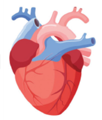 Знімок екрана 2026-04-01 223356.png